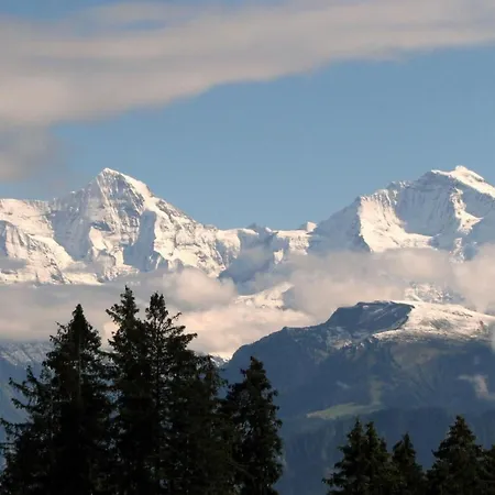 Panorama-beatenberg By Interhome Beatenberg