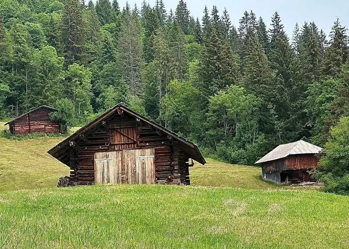 Panorama-beatenberg By Interhome Apartamento Beatenberg